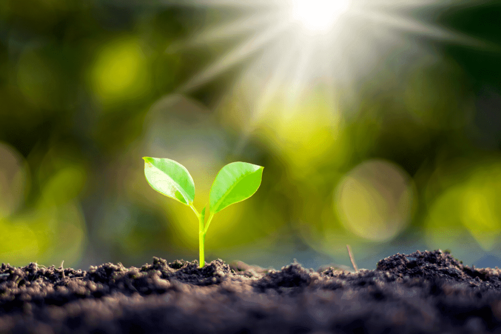 Personal-growth